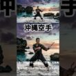 【波の上ビーチ】青い海と沖縄空手！受け継がれる「平和の武」の神髄を体感 #沖縄空手 #沖縄観光 #shorts  #空手の日 #karate   #japantravel