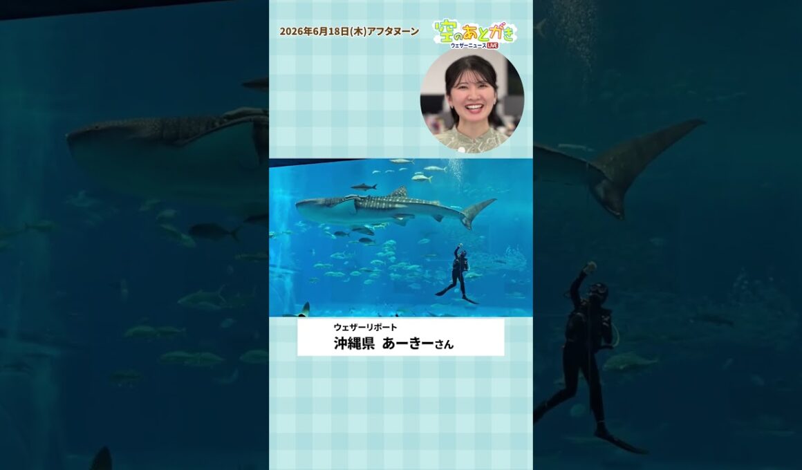 【空のあとがき】駒木キャスターが気になったリポートは？6月18日 #通勤タイパ #駒木結衣