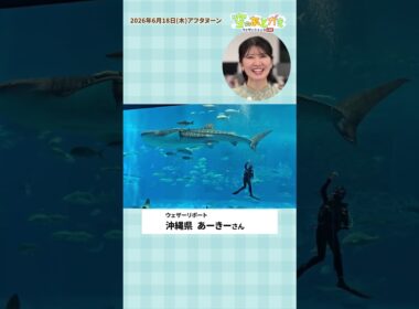 【空のあとがき】駒木キャスターが気になったリポートは？6月18日 #通勤タイパ #駒木結衣
