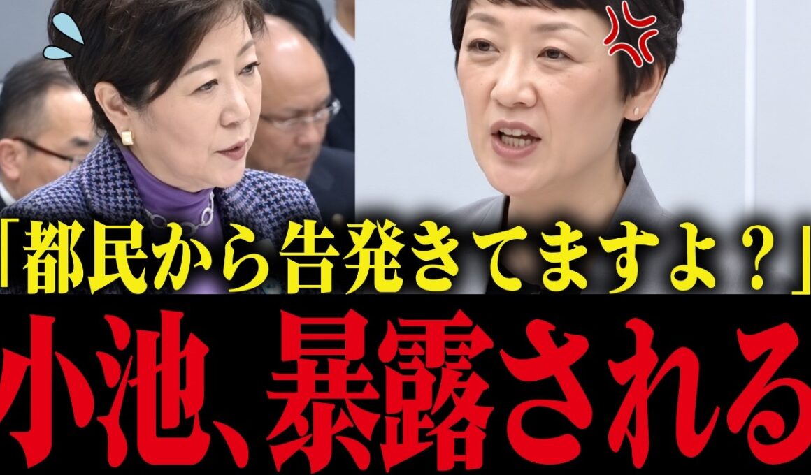 【小池百合子】小池に騙された都民の怒りが爆発！議会で内容を暴露され小池大慌て!!【さとうさおり 小池都知事 都議会 カイロ大学 学歴詐称疑惑】