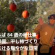 典子ばぁば84歳　秋仕事