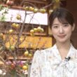 【画像】昨夜の安藤萌々さん 10.5