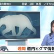 【画像】今日の坂井里紗さん　10.9