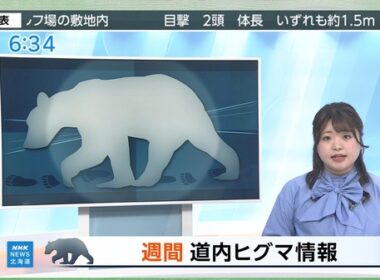 【画像】今日の坂井里紗さん　10.9