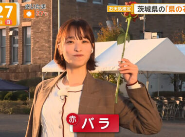 【画像】今日の今井春花さん　10.11