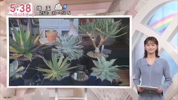 1 (29)