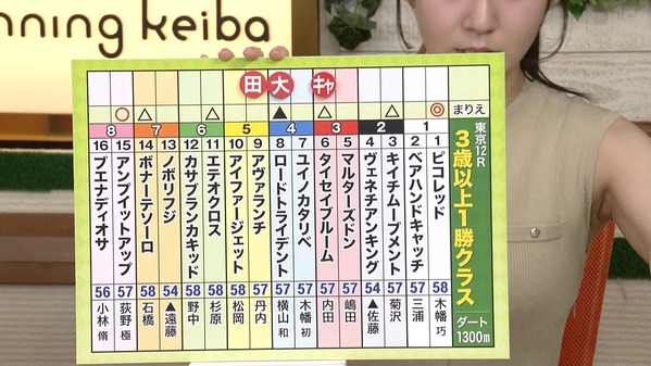 1 (53)