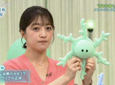 【画像】今日の赤木野々花さん　10.4