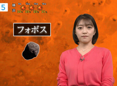 【画像】今日の赤木野々花さん　10.18